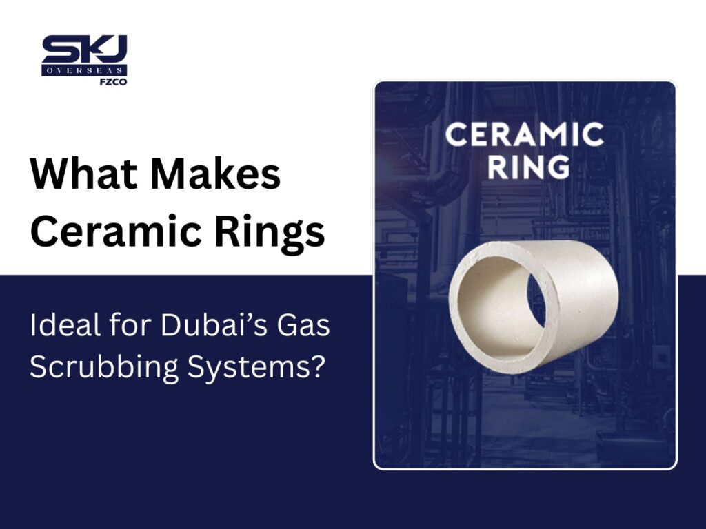 What Makes Ceramic Rings Ideal for Dubai’s Gas Scrubbing Systems?