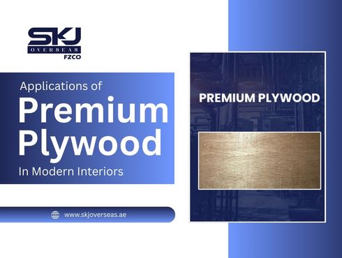 Applications of Premium Plywood in Modern Interiors