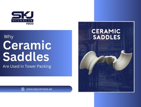 Why Ceramic Saddles Are Used in Tower Packing