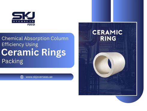 Chemical Absorption Column Efficiency Using Ceramic Rings Packing