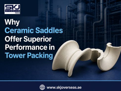 Why Ceramic Saddles Offer Superior Performance in Tower Packing